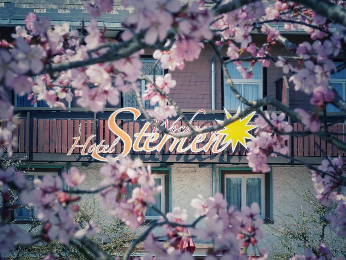 Wochner'S Hotel-Sternen Am Schluchsee Hochschwarzwald Eksteriør billede